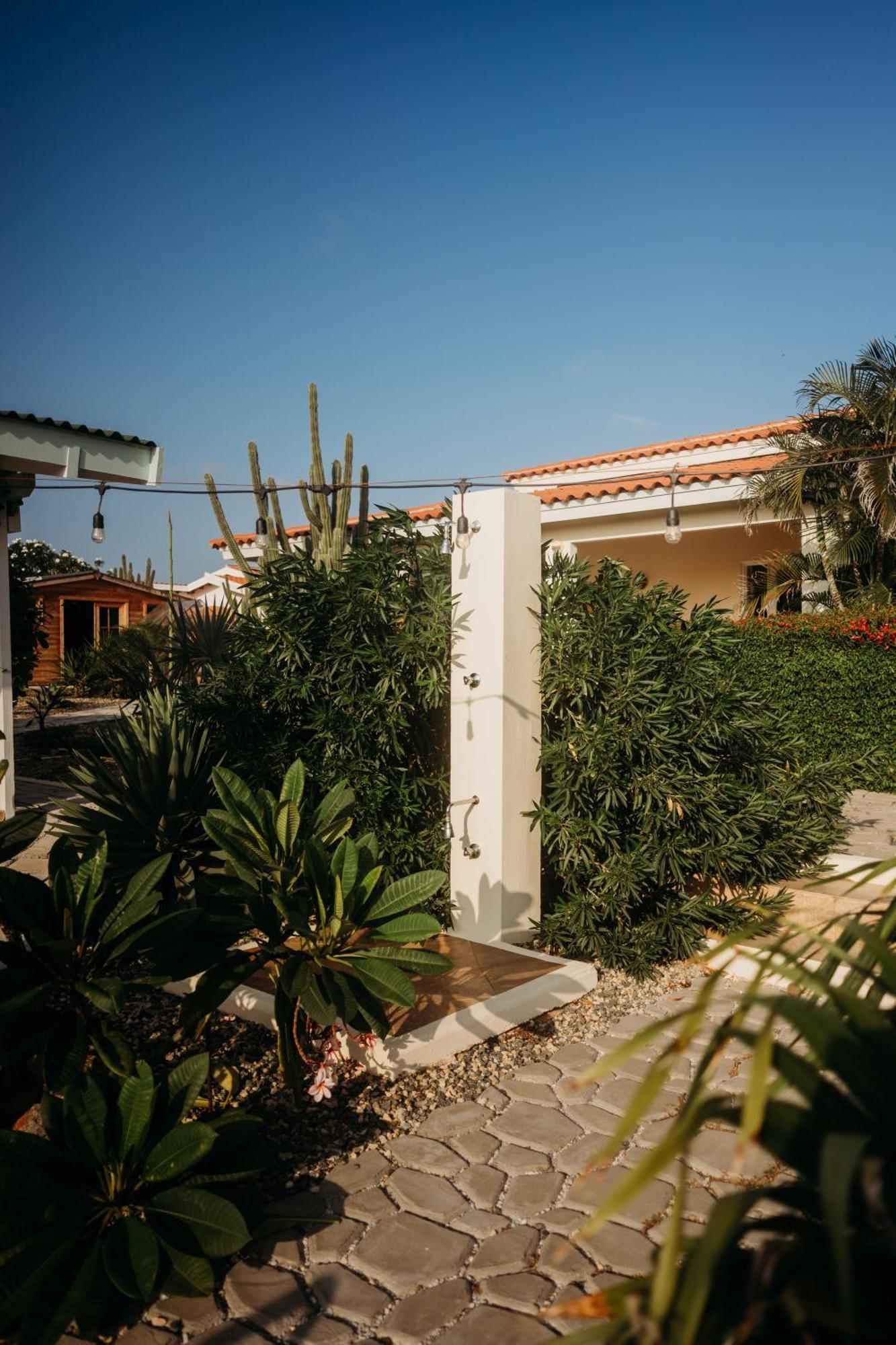 Pura Vida Aruba Appartement Palma Noord Dış mekan fotoğraf