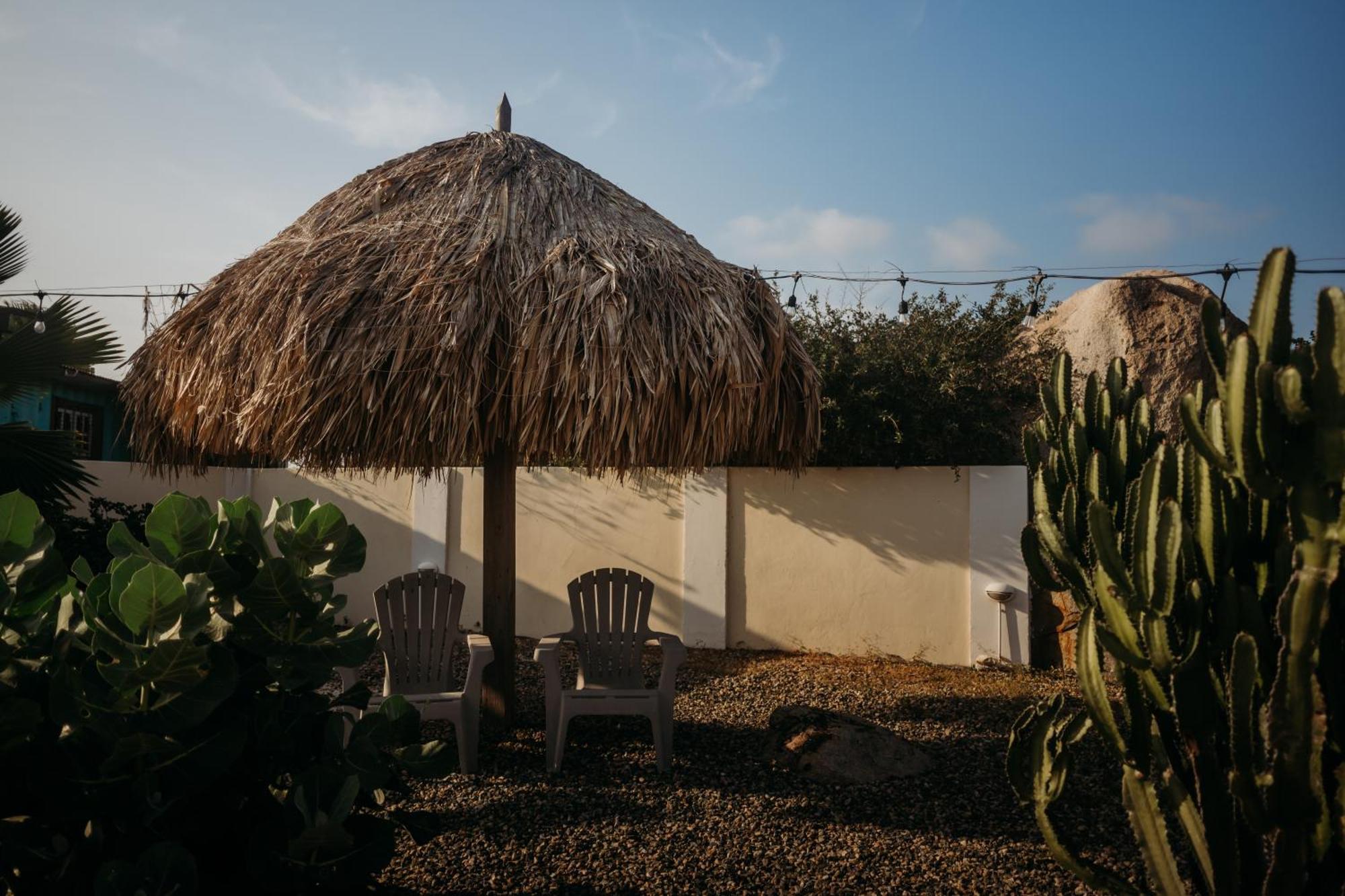 Pura Vida Aruba Appartement Palma Noord Dış mekan fotoğraf