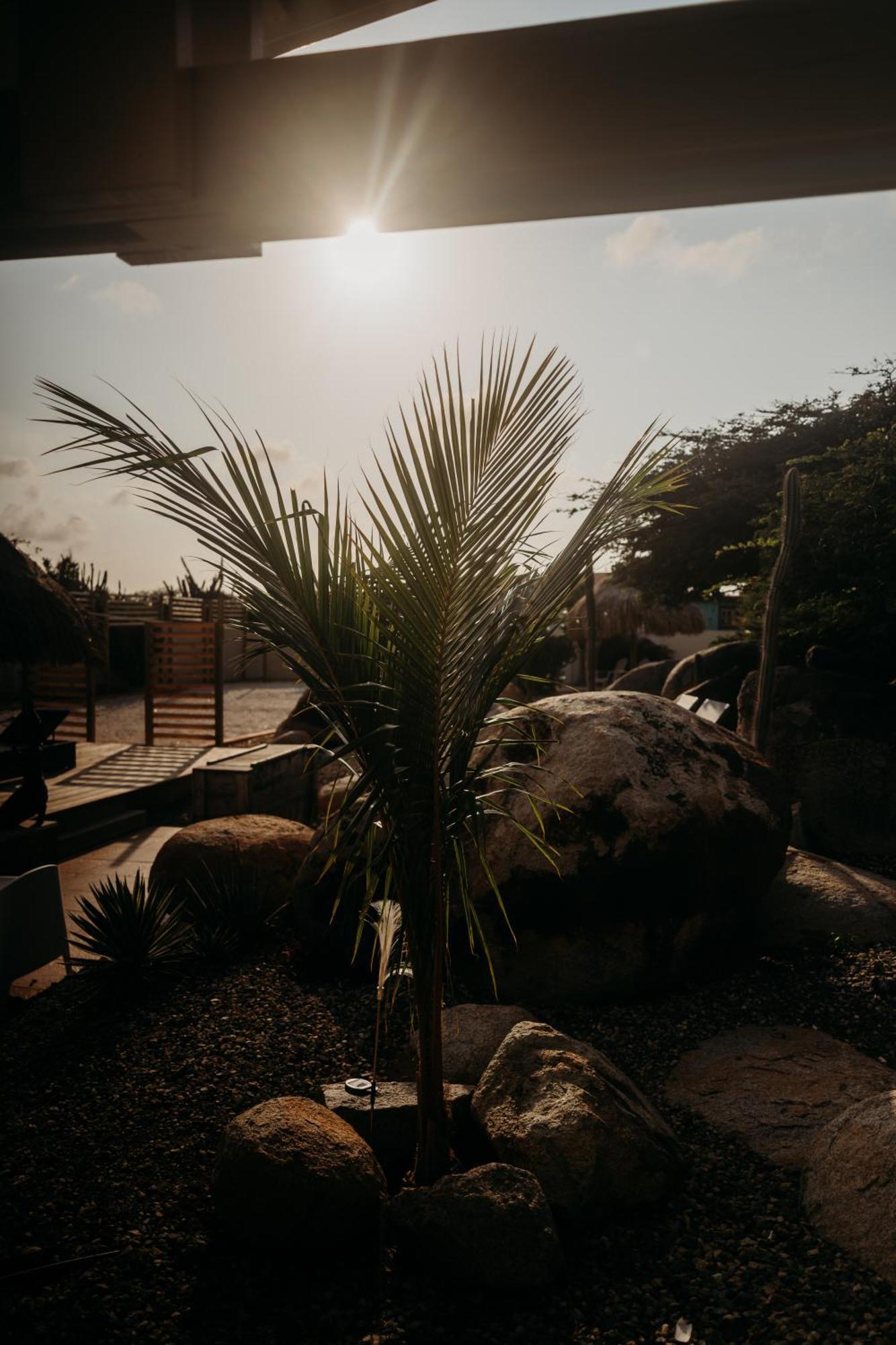 Pura Vida Aruba Appartement Palma Noord Dış mekan fotoğraf
