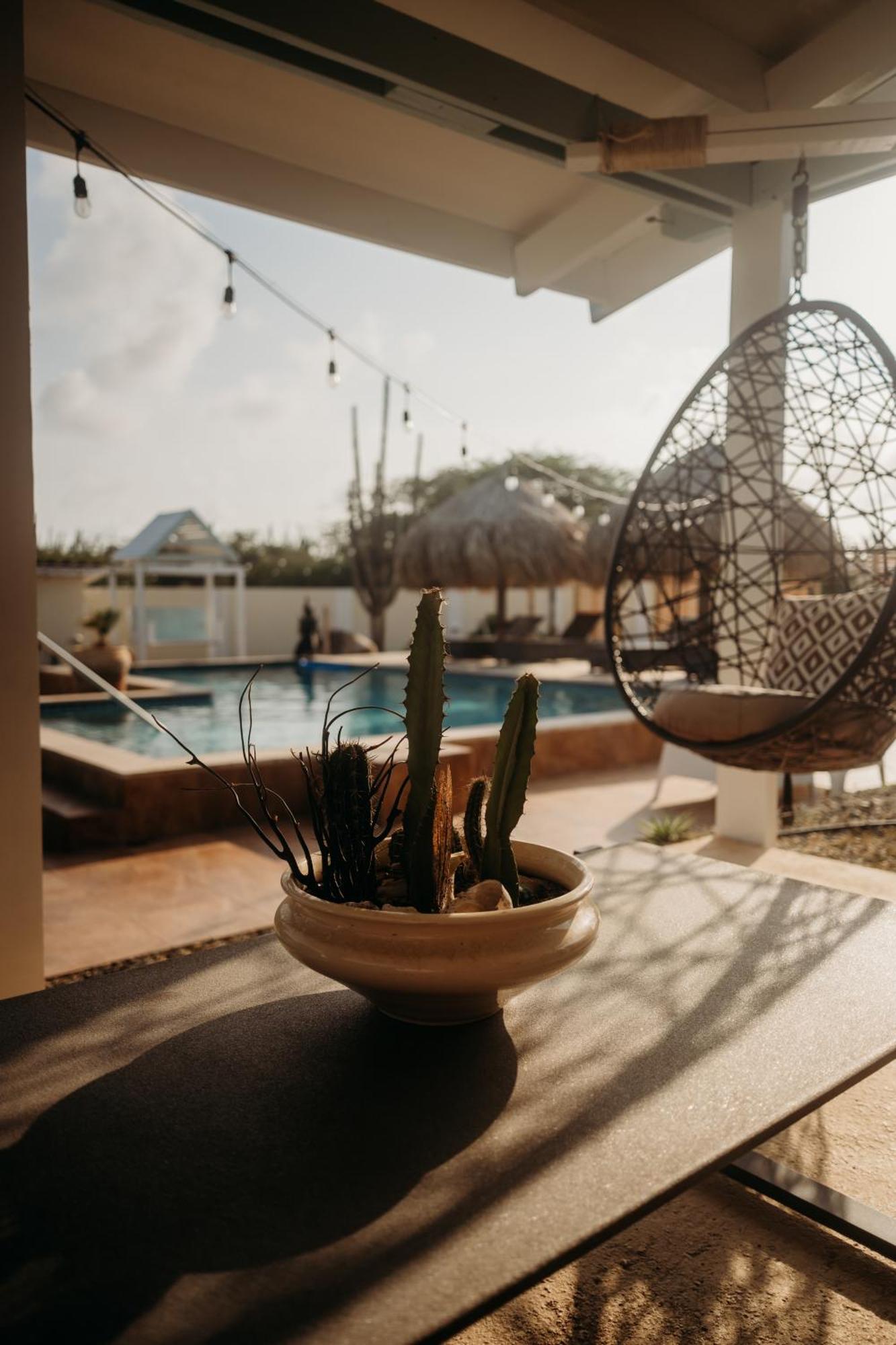 Pura Vida Aruba Appartement Palma Noord Dış mekan fotoğraf