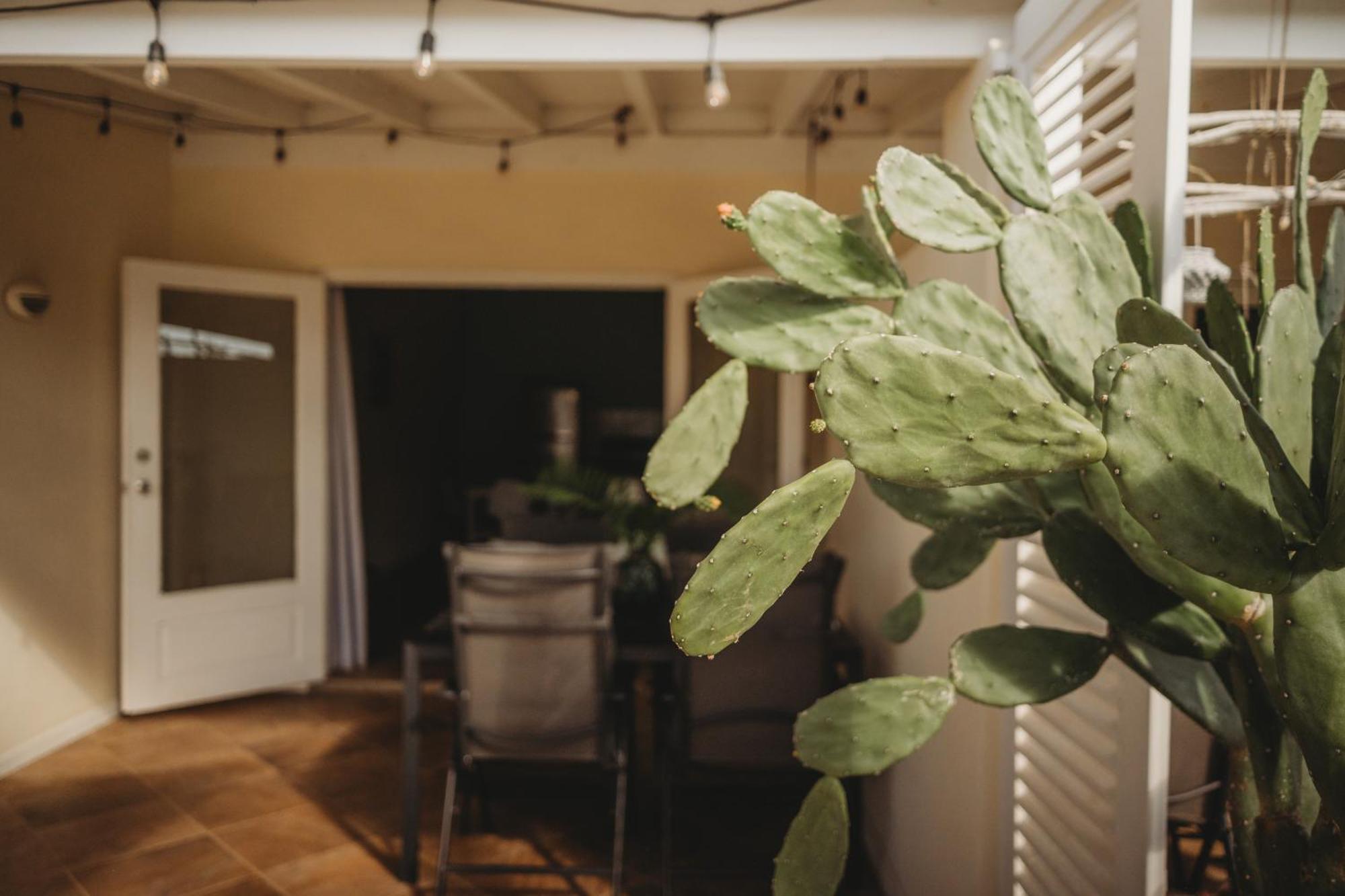 Pura Vida Aruba Appartement Palma Noord Dış mekan fotoğraf